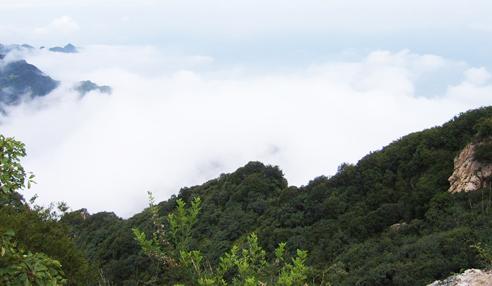 【江門2天品質游】新會古兜溫泉、天然山泉水世界、陳